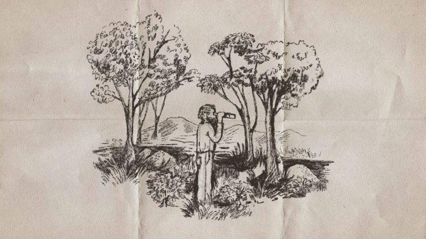 Sketches of a man looking through binoculars in a forest.