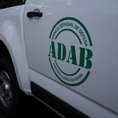 Concurso Adab disputa por cargo e locais de prova