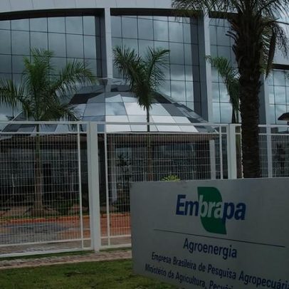 Aprovado em 1º lugar no concurso Embrapa conciliou filho e estudos