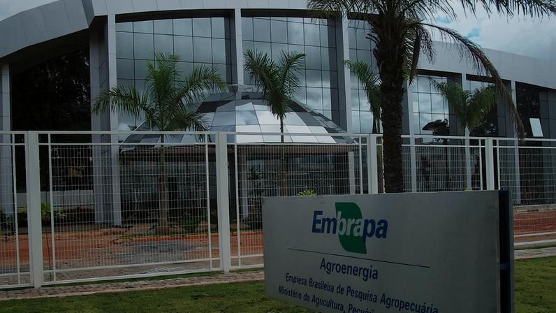 Concurso Embrapa Divulgação