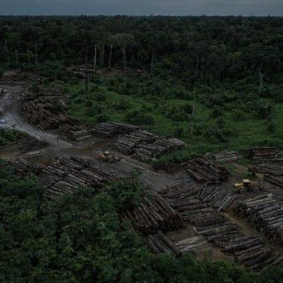 Desmatamento no Brasil cai em 2025 ao menor nível em seis anos
