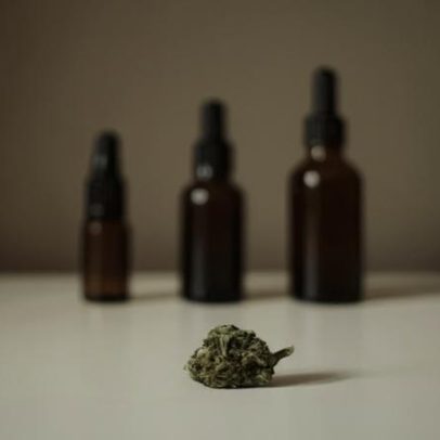 Anvisa autoriza exportação de cannabis medicinal