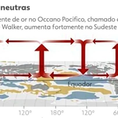 El Niño e fertilizantes colocam safra brasileira em risco