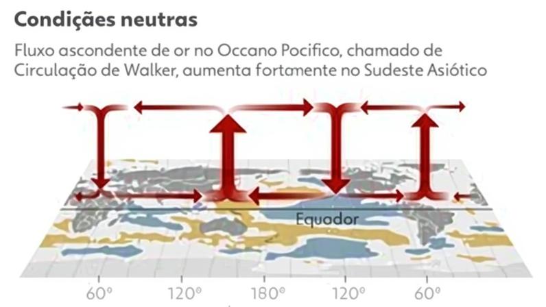 El Niño e fertilizantes colocam safra brasileira em risco