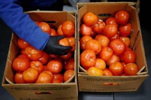 Crise alimentar global pode ameaçar 2027, aponta alerta internacional