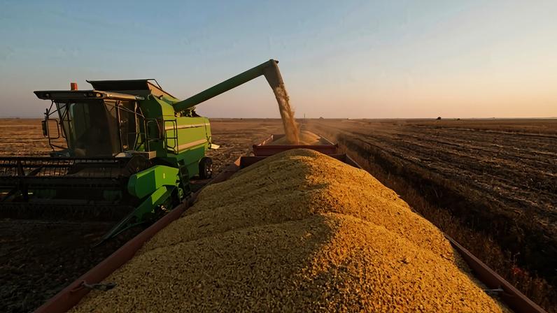 Economia brasileira registra crescimento no 1º trimestre