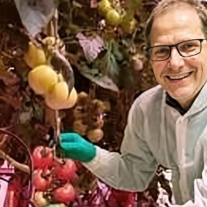 Holanda: gigante agrícola prospera em pequenas parcelas