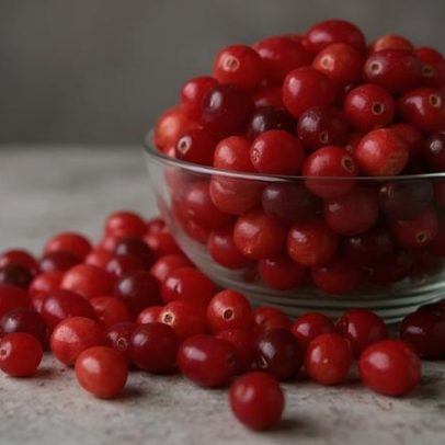 Estudo aponta efeito auxiliar da cranberry no tratamento de infecção urinária