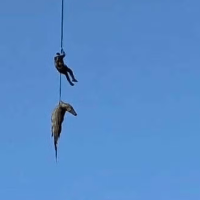 Policial enfrenta rio com crocodilos em busca de desaparecido na África do Sul