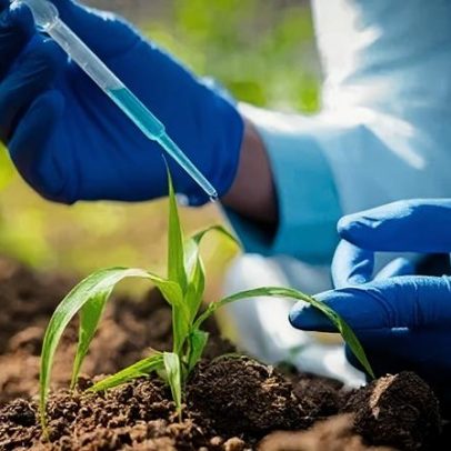 Mercado de fertilizantes especiais e biofertilizantes recua 5,5% em 2025