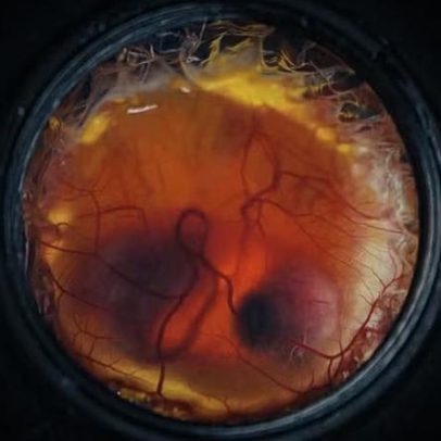 Empresa afirma poder ressuscitar espécies extintas com ovo artificial