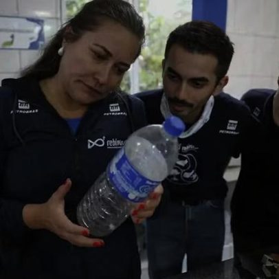 Estudo aponta microplásticos em 93% de peixes no litoral do PR