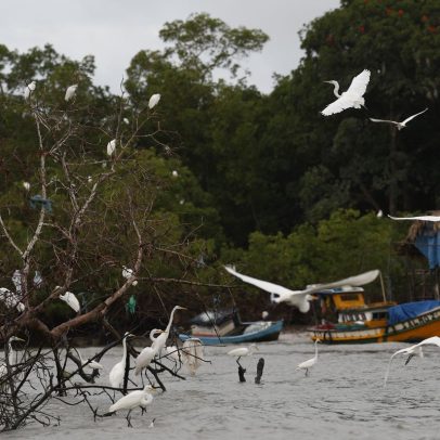 Programa Amazônia Soberana combate crimes em áreas de fronteira