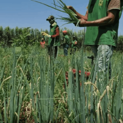 Desenrola Rural busca recuperar produtores a tempo do Plano Safra