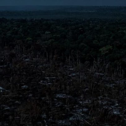 Desmatamento fica abaixo de 1 milhão de ha pela 1ª vez desde 2019, segundo MapBiomas