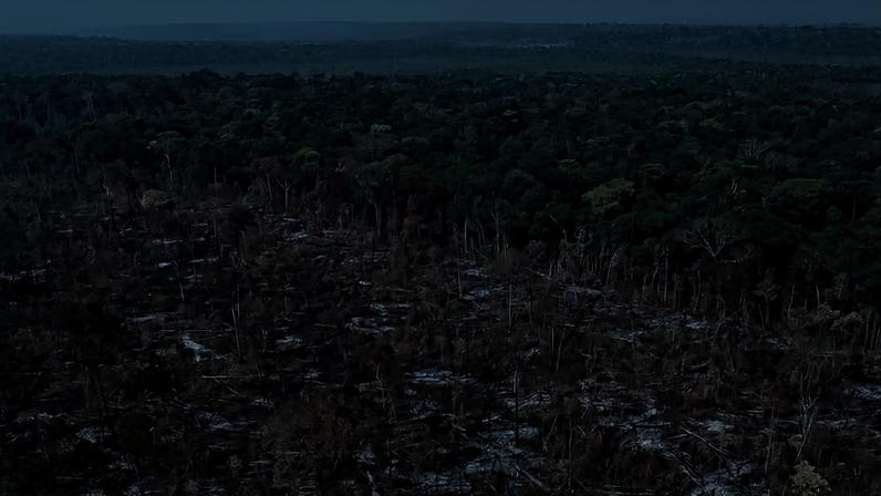 Desmatamento na Amazônia. — Foto: Bruno Kelly/Amazônia Real