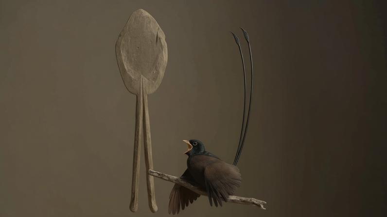 Fóssil de Plumadraco, ao lado de uma ilustração que mostra o Plumadraco em vida. — Foto: Clark et al. Ilustração de Ville Sinkkonen