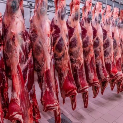Brasil recebe veto da UE a carnes e buscará reverter decisão, diz governo