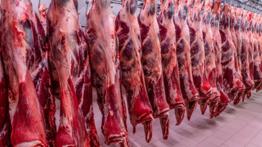 Governo fala em 'surpresa' e diz que tentará reverter decisão da UE - Programa: G1 Agronegócios