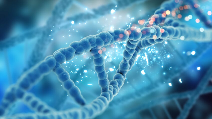 Nova variante genética explica doença neurológica rara