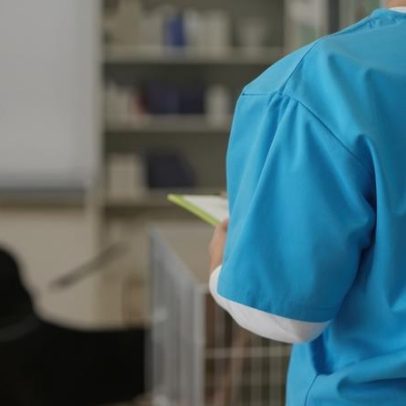 Vítima de injeção veterinária busca indenização de R$ 52 mil