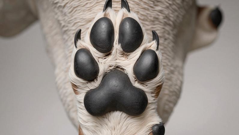 Segundo a denúncia do MPRS, o número elevado de animais e a gravidade das condições encontradas demonstram alto grau de reprovabilidade das condutas