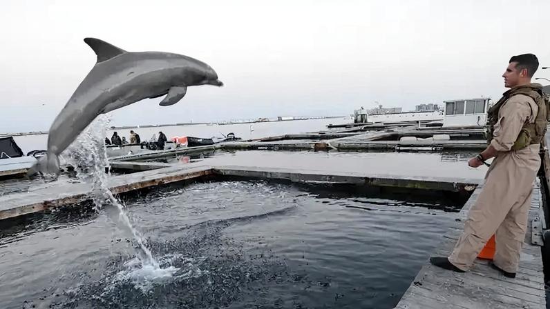 Foto: Marinha dos EUA/ Reprodução
