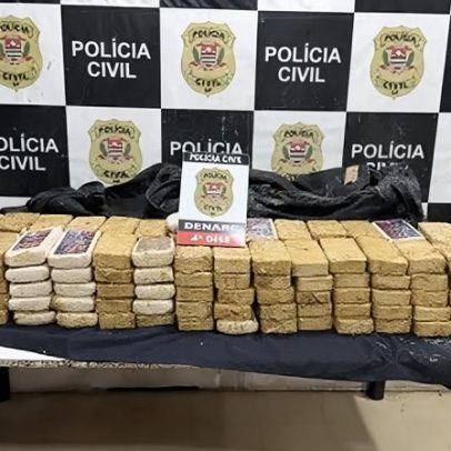 Cocaína camuflada em esterco, avaliada em R$ 3 milhões, é apreendida em SP