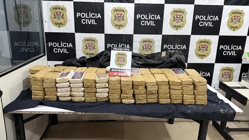 Cocaína camuflada com esterco e naftalina é apreendida pela Polícia Civil em São Roque