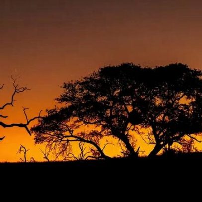 Nova tendência de viagem mundial começa quando você guarda o celular