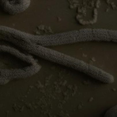 EUA impõem restrições após avanço do ebola