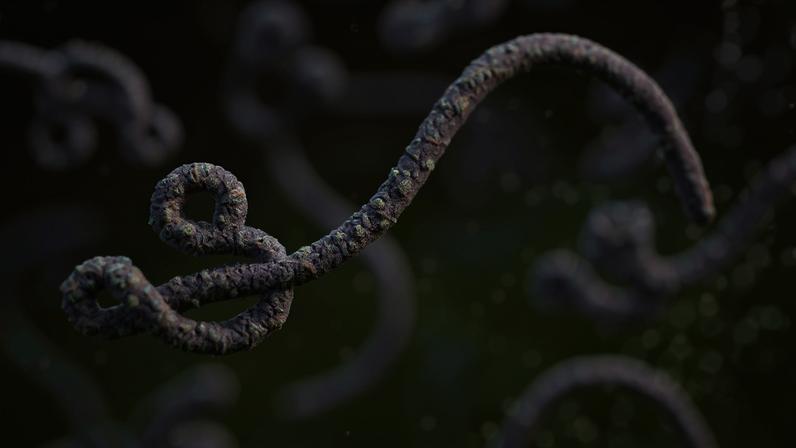 Vírus Ebola, ilustração digital. Metrópoles