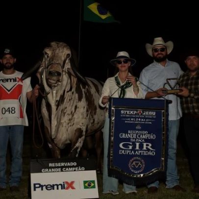 Leilões de gado de elite em Uberaba atingem recorde de R$ 218 milhões