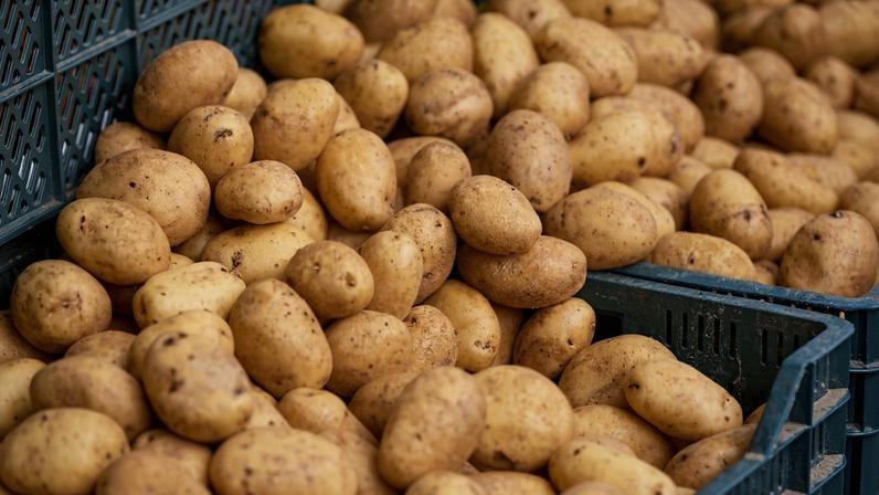 Alta do preço da batata pressiona restaurantes, que já aumentam valor das fritas no menu