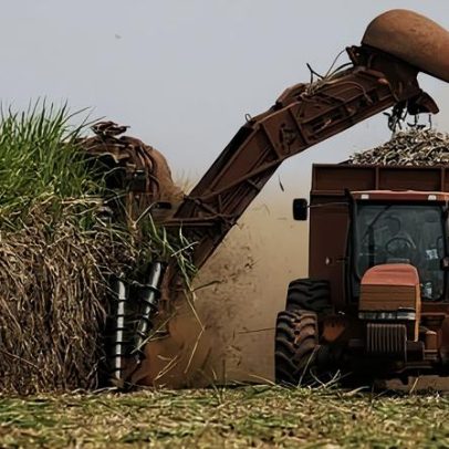 O papel do agronegócio na crise do petróleo de 2026