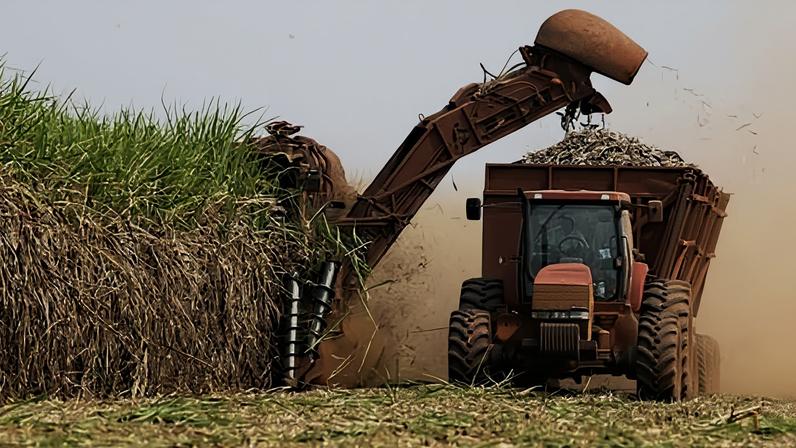 O setor bioenergético vai além da economia: é instrumento de soberania e sustentabilidade.