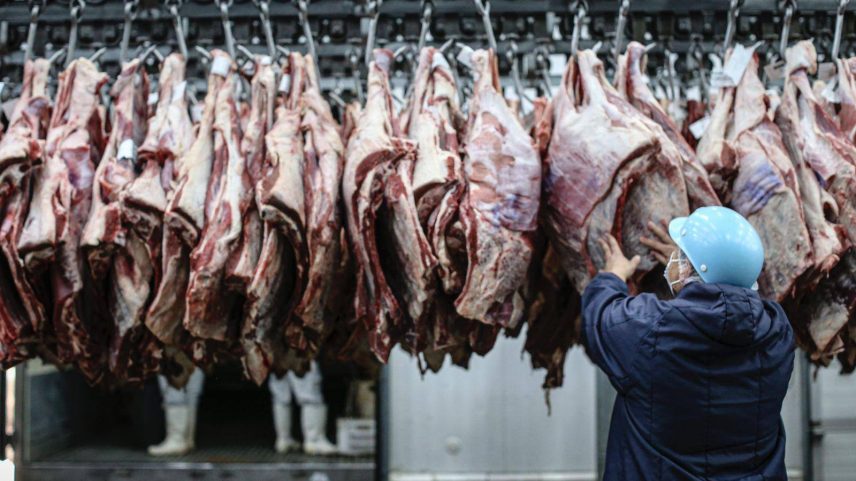 Setor projeta queda de cerca de 10% nas exportações de carne bovina brasileira em 2026 devido às medidas de salvaguarda chinesas.