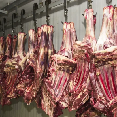 UE veta importação de carne brasileira