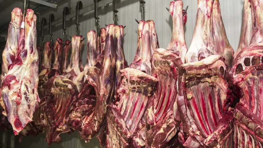 Bloco deixou Brasil de fora por não ter garantia de cumprimento de padrões sanitários. (Foto: Marcello Casal Jr/Agência Bras)