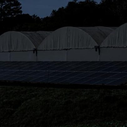 Paraná avança em energia solar fotovoltaica e discute descarte de placas