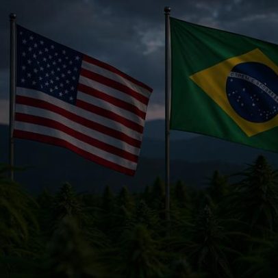 Reclassificação da cannabis nos EUA e seus impactos no Brasil