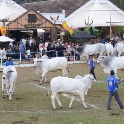 Lei reconhece relevância cultural nacional da Expo Cordeiro, RJ