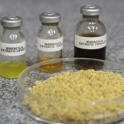 FEA-Unicamp transforma bagaço de maracujá em bioativos para alimentos e cosméticos