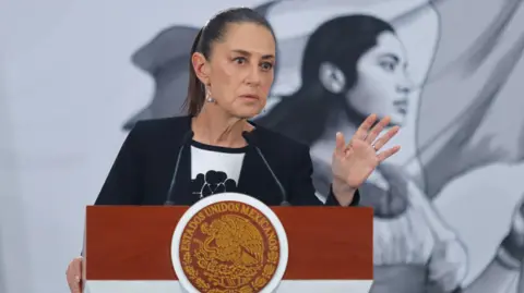 Mexican President Claudia Sheinbaum appeared to soften the announcement after it provoked widespread criticism
