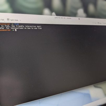 Bash contra Fish: qual shell facilita mais o uso da linha de comando?