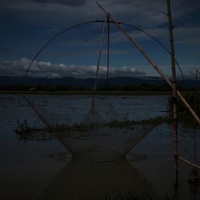 Nova lei de Bangladesh pode salvar suas áreas úmidas naturais?