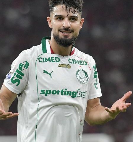 Palmeiras, de Flaco López, é um dos times brasileiros que ainda buscam classificação
