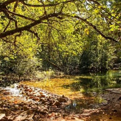 Regras da área de nudismo na cachoeira da Chapada dos Veadeiros
