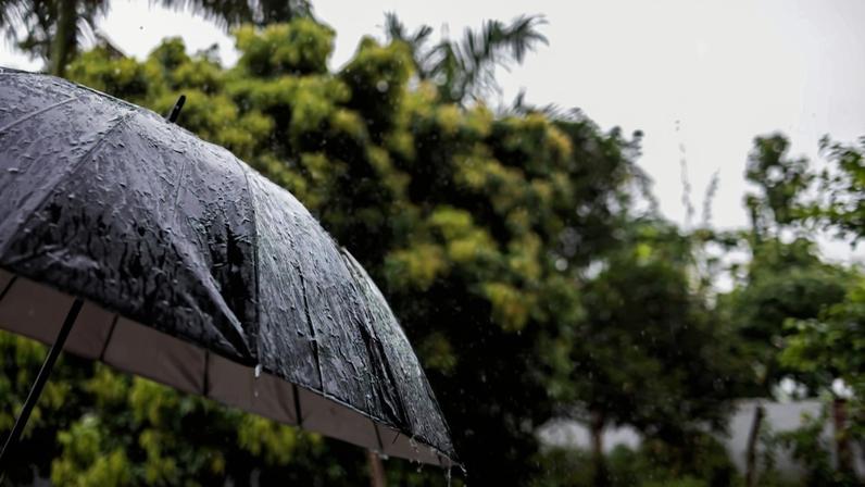 Imagem colorida de guarda-chuva - Metrópoles