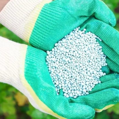 Brasil fortalece agricultura com importação de fertilizante cazaque